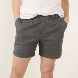 chubbies Gray Shorts. Men’s Large. The Musts. 5.5” inseam
